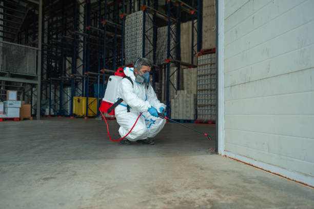 Best Fumigation Services  in Westmere, NY